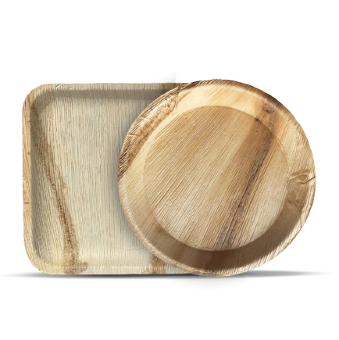 Dinner Plates –200 pcs Wholesale Price + Free Shipping